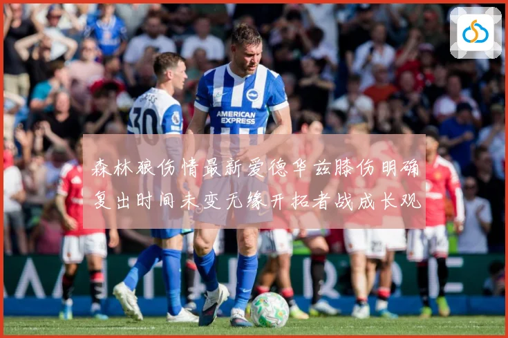 森林狼伤情最新爱德华兹膝伤明确复出时间未变无缘开拓者战成长观察：最新赛事动态与深度分析